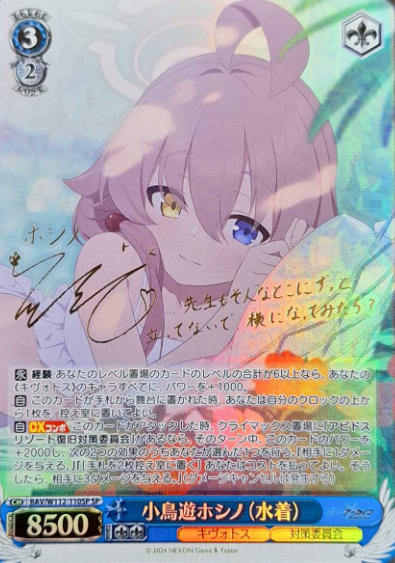 Takanashi Hoshino SP BAV/W112-110SP - Blue Archive