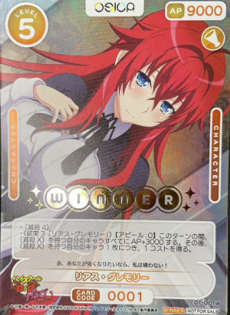 OSICA High School D×D Rias WINNER