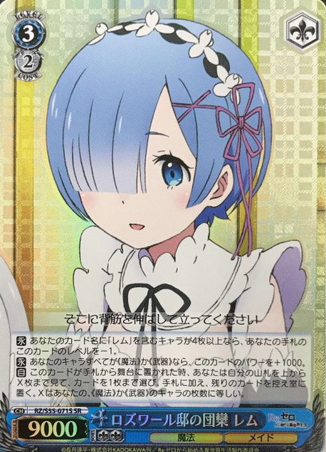 Rem SR RZ/S55-071S - RE:ZERO STARTING LIFE IN ANOTHER WORLD vol.2