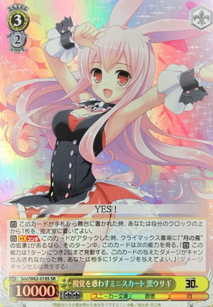 Black Rabbit SR Smi/W62-010S - KADOKAWA Sneaker Bunko-KADOKAWA S.B