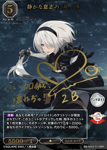 2B BR BB-NAA-010BR