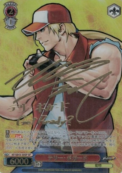 Terry Bogard SP KF/SE43-30SP - THE KING OF FIGHTERS