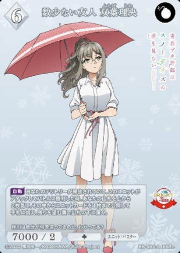 Futaba Rio SR+ BB-SBS-046SR+