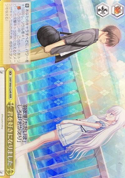 Shiroha RRR SMP/W60-024R - Summer Pockets