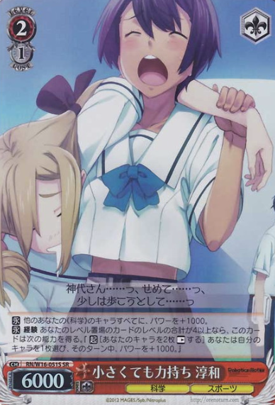 Junna SR RN/W16-051S - ROBOTICS NOTES