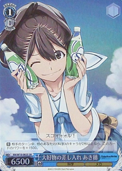 Akiho SR RN/W16-082S - ROBOTICS NOTES