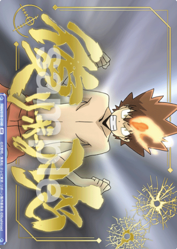 Sawada Tsunayoshi BR RBN/01B-014B - Weiss Schwarz Blau REBORN!