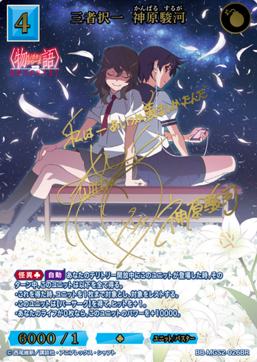 Kanbaru Suruga BR BB-MGS2-026BR