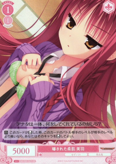 Miu SR OS01/R01-067S