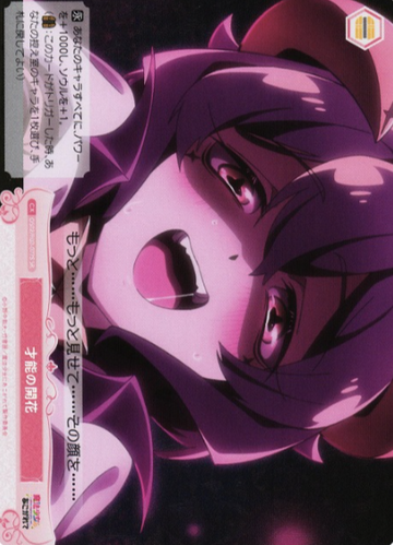 Magia Baiser SR OS02/R02-077S