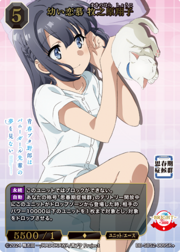 Makinohara Shoko SR+ BB-SBS2-009SR+