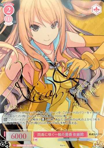 Satouin SP OS05/R05-057SP