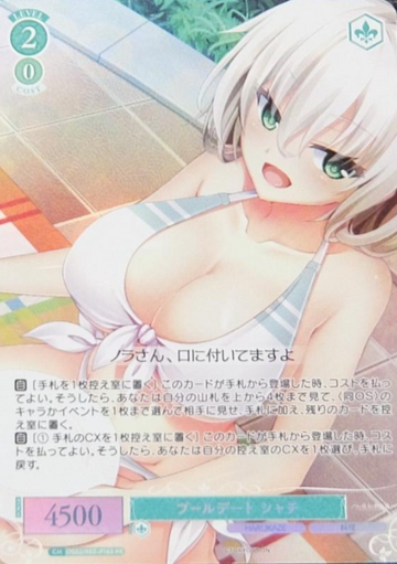 Shachi PR OS03/R03-P19S