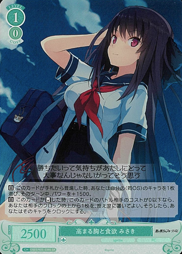 Misaki SR OS05/R05-038S