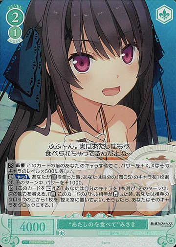 Misaki SR OS05/R05-044S