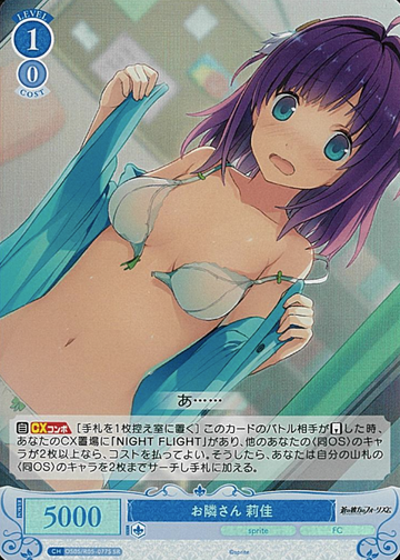 Rika SR OS05/R05-077S