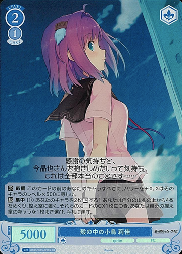 Rika SR OS05/R05-093S