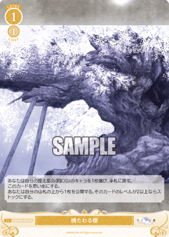 OS06/R06-022S SR