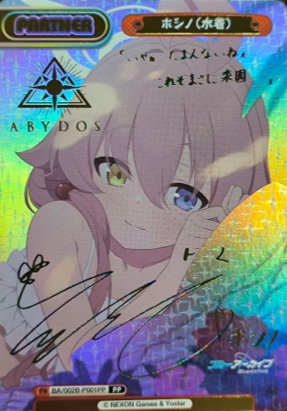 Hoshino PP BA/002B-P001PP