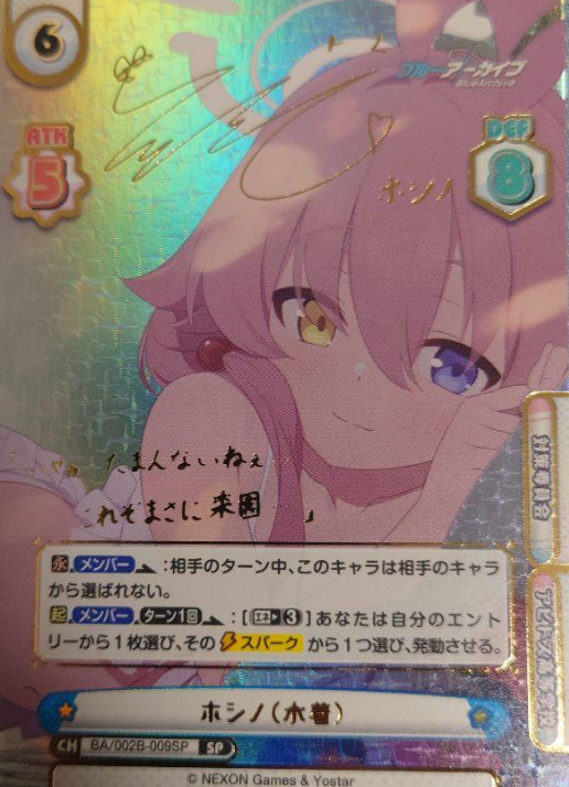 Hoshino SP BA/002B-009SP