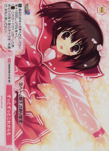 OS08/R08-074S SR