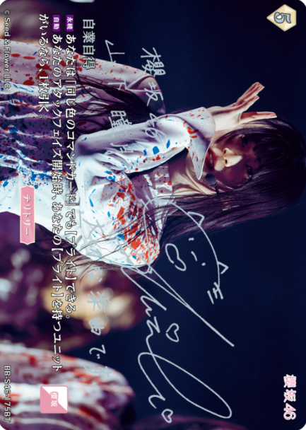 Yamashita Shizuki BT BB-S46-175BT