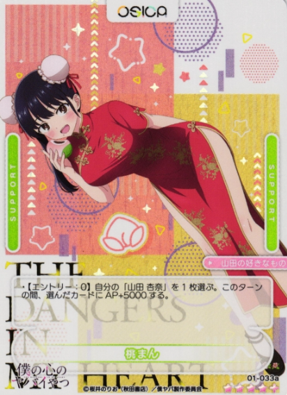 Yamada Anna SR+ 01-033a