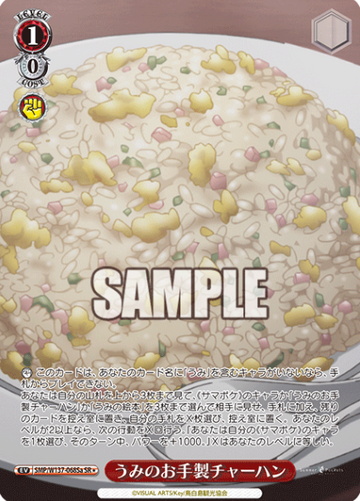 SMP/W137-068Sa SR ☆