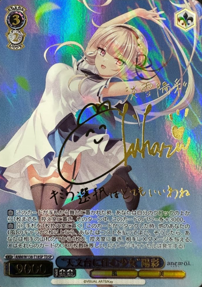 Hiiro TDSP ANM/W138-T18SP - anemoi