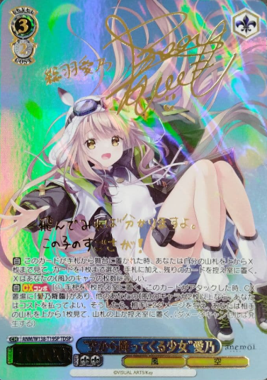 Aino TDSP ANM/W138-T19SP - anemoi