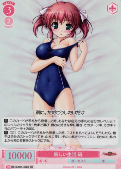 Nagi SR OS13/R13-058S