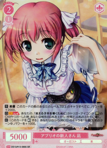 Nagi SR OS13/R13-069S
