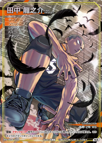 Tanaka Ryunosuke NA HV-P04-006
