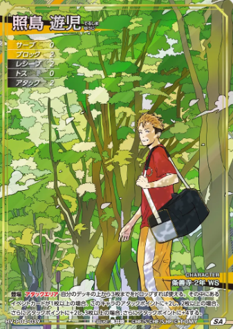 Terushima Yuji SA HV-P04-039