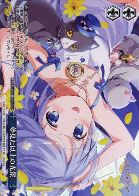 Chino OFR GU/W88-109OFR - Is the Order a Rabbit ? BLOOM
