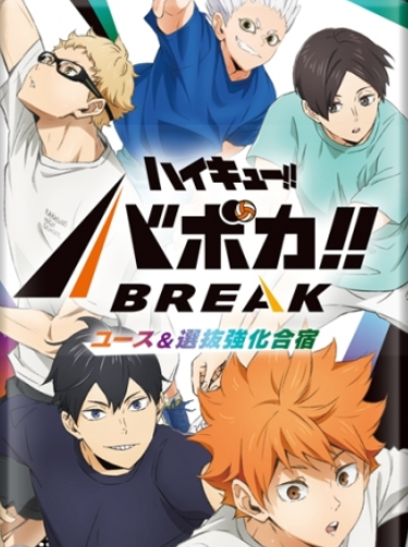 VOBACA Haikyu!! HV-P03 Youth & Select Team Training Camp