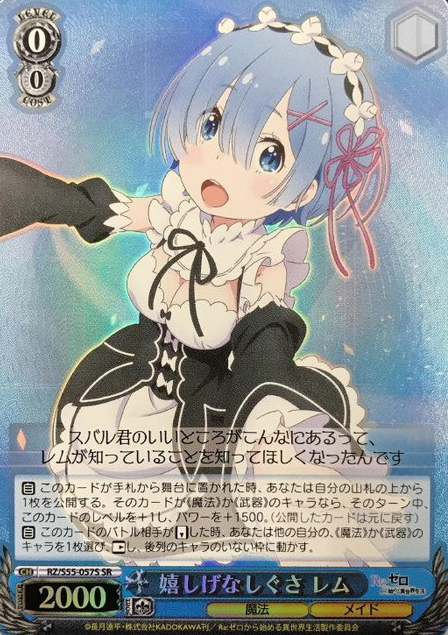 Rem SR RZ/S55-057S - RE:ZERO STARTING LIFE IN ANOTHER WORLD vol.2