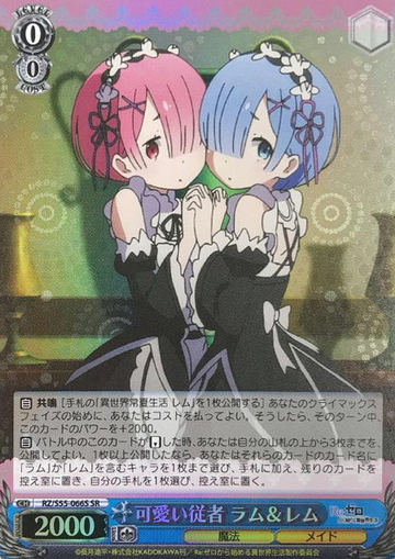 Rem Ram SR RZ/S55-066S - RE:ZERO STARTING LIFE IN ANOTHER WORLD vol.2