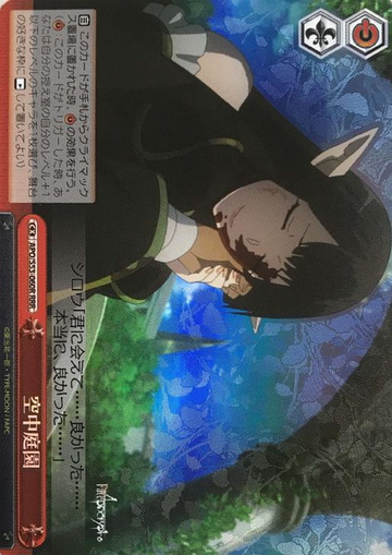 Black Caster RRR APO/S53-060R - Fate/Apocrypha