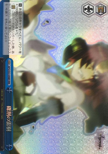 Black Berserker RRR APO/S53-098R - Fate/Apocrypha