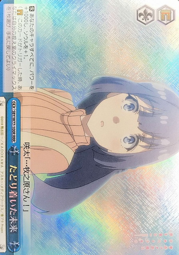 Makinohara Syouko RRR SBY/W77-100R - Bunny Girl Senpai -Rascal Does Not Dream of a Dreaming Girl -