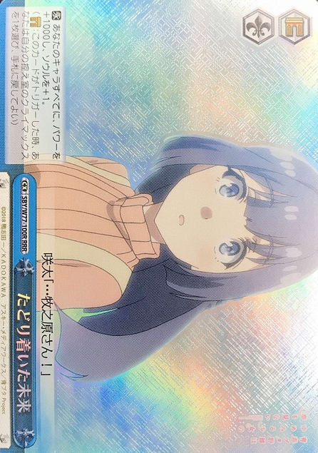 Makinohara Syouko RRR SBY/W77-100R - Bunny Girl Senpai -Rascal Does Not Dream of a Dreaming Girl -