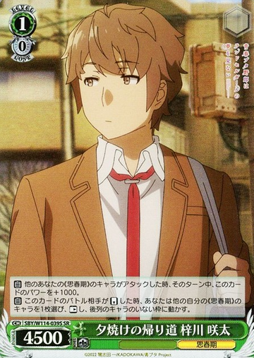 Azusagawa Sakuta SR SBY/W114-039S - Bunny girl senpai series