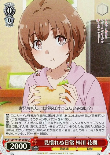 Azusagawa Kaede SR SBY/W114-058S - Bunny girl senpai series