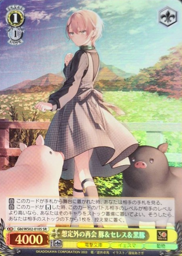 Seres SR Gbl/WS02-010S - Dengeki Bunko
