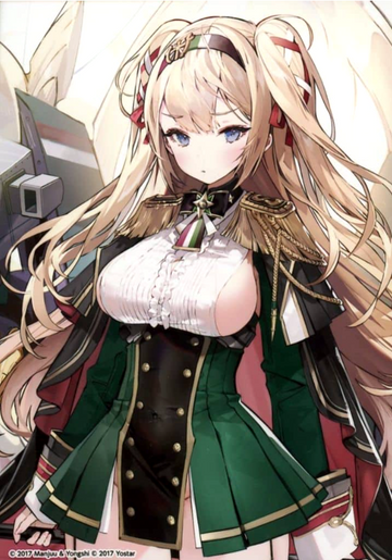 Gorizia bromide card