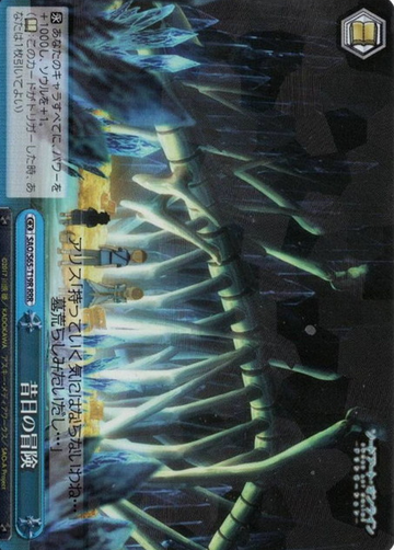 SAO/S65-T19R RRR