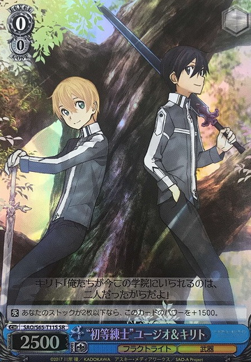 Kirito Eugeo SR SAO/S65-T11S - Sword Art Online Alicization