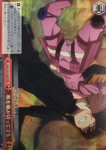Pitohui RRR GGO/S59-066R - Sword Art Online Alternative Gun Gale Online