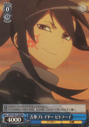 Pitohui RRR GGO/S59-T14R - Sword Art Online Alternative Gun Gale Online